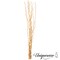 Uniquewise 12 pcs Natural Decorative Dry Branches Authentic Sticks, Home Decoration and Wedding Craft, DIY Greenery Plants Craft Vases fillers Garden Hotel Farmhouse Decor